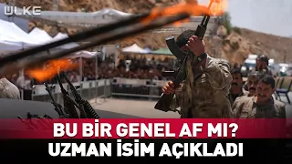 Is This a General Amnesty? Expert Explains Live on Air