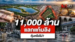 Is an 11 Billion Baht "Monkey Cheek" Project Worth It?