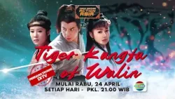 Perdana Tayang di TV! Tonton Keseruan Mega Series Action Asia "Tiger Kungfu of Wulin" 24 April 2024