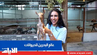 Love, Care, and Attention... The Success Story of the Bahrain World of Animals