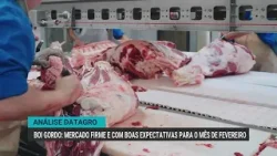 Mercado do boi gordo segue firme e com boas expectativas para fevereiro