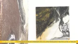 A felületi struktúrákban rejlő lehetőségeket mutatja be a tárlat