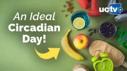 An Ideal Circadian Day