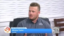 Уничтожьте термитов с помощью компании The Termite Division.