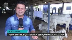 Norte Show | Feira em Sinop dedica espaço para a pecuária | Canal Rural