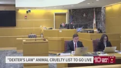 These laws will go into effect in Florida after the New Year These laws will go into effect in Florida after the New Year