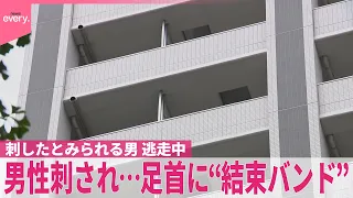 【足首に“結束バンド”】東京･豊島区のマンションで20代男性刺される  刺したのは同居人の男か  現在も逃走中