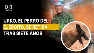 Urko, the dog that helped after the earthquake, retires after seven years in the Army