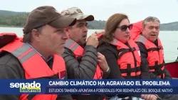 Senado Informa - Lago Vichuquén: Las causas del bloom de algas