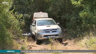 Itatókkal segítik a vadakat a hőségben - 2026.08.06.