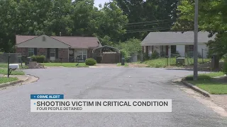 Man critically injured in Whitehaven shooting; 4 detained: MPD