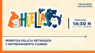 Retired Police Dogs and Canine Training | Huellas | 07-08-2026