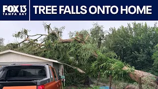 Florida storms: Tree falls on family's home