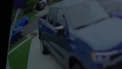 Coyote connected to attacks in Southern California euthanized