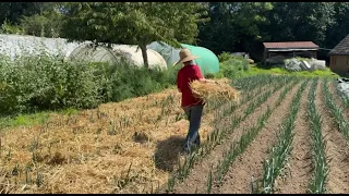 Sécheresse : des récoltes en souffrance dans les fermes urbaines bruxelloises