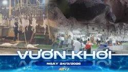 CHƯƠNG TRÌNH VƯƠN KHƠI NGÀY 24/3/2026