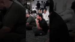 هر گریه ای بهشتی می کند؟