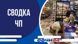 Сводка ЧП Сводка ЧП