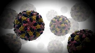 San Francisco health officials report 10 cyclosporiasis cases so far in 2026