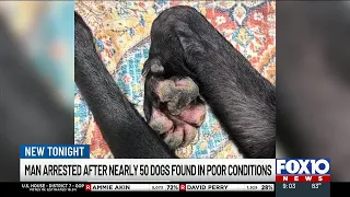 Man arrested after nearly 50 dogs found in poor conditions
