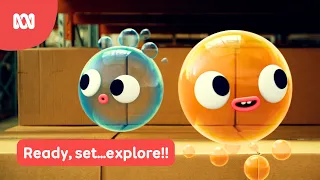 BRAND NEW SEASON!! 🫧🎉 | Fizzy & Suds | ABC Kids