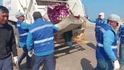 Realizan operativo de desalojo en borde costero y Vivero Municipal de Antofagasta