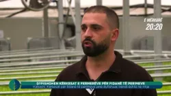 Promo - Toka - Dyfishohen kërkesat e fermerëve për fidanë të perimeve