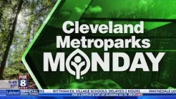 MetroParks Monday: Maple Sugaring! MetroParks Monday: Maple Sugaring!