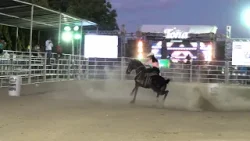 Mujeres viven noche de adrenalina en competencia de barriles