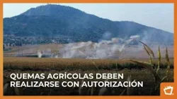 Quemas agrícolas cerca de carreteras elevan riesgo de accidentes de tránsito