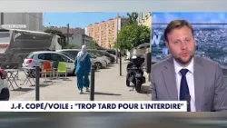 Alexandre Devecchio : «C'est une question de protection de l'enfance»