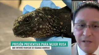 Interview with Hugo Echeverría - Environmental Lawyer