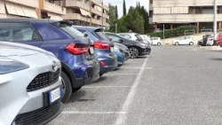 SMALL CAR THEFTS IN ROME'S GARDEN