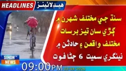 | Sindh TV News | Sindh TV News