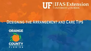 Extension Solutions | Designing the Arrangement and Care Tips