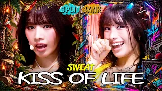 [📺Split Bank] KISS OF LIFE (키스오브라이프) - SWEAT | KBS WORLD TV