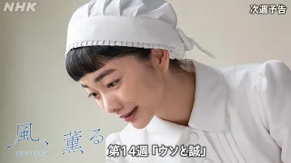 【風、薫る】次週予告 第14週「ウソと誠」6/29(月)～放送予定 | 朝ドラ | NHK