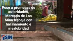 Pese a promesas de autoridades, Mercado de Los Mina trabaja con hacinamiento e insalubridad