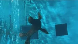 Students brainstorm enrichment for Minnesota Zoo animals