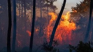 Wildfires in Southern Europe: Spain declares national emergency, France requests European aid