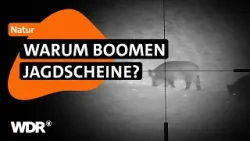Jagen und Naturschutz: Geht das? | Aßmann mittendrin! | WDR Jagen und Naturschutz: Geht das? | Aßmann mittendrin! | WDR