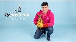Malý ratlík, veľký problém | Neposlušní
