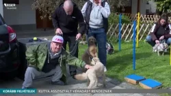 A gazdik vért adhatnak, a kutyákat szűrővizsgálat várja pénteken - 2026.04.07.