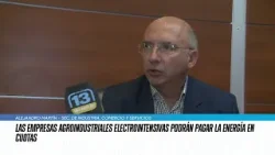 Agroindustriales: ¿Cuáles son los rubros que podrán pagar en cuotas la boleta de la luz?