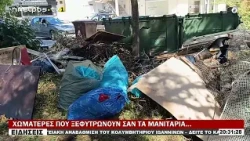ΧΩΜΑΤΕΡΕΣ ΠΟΥ ΞΕΦΥΤΡΩΝΟΥΝ ΣΑΝ ΤΑ ΜΑΝΙΤΑΡΙΑ…