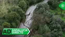 Andalucía Directo | Lunes 9 de febrero