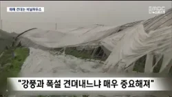 [R] '비닐하우스' 커지는데 '강풍·폭설' 견딜 수 있을까? / 안동MBC
