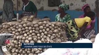 Nutrition: Yam in all its forms