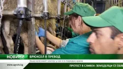 Защо млечният сектор у нас е в поредна криза