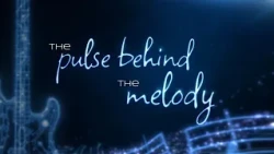 Best Bass Player Puts the Pulse Behind the Melody